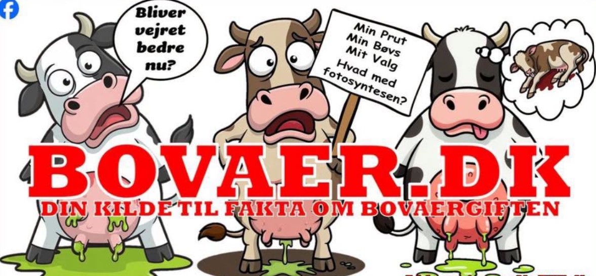 bovaerdk-forside-snip-privat-foto-facebook